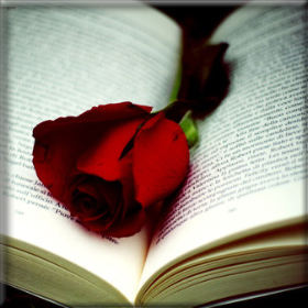 Η Αρωματική καλλιέργεια της&nbsp;Τριανταφυλλιάς