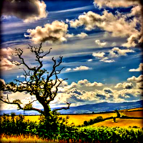 Αναμόρφωση της Κοινής Αγροτικής Πολιτικής για μια πιο «πράσινη»&nbsp;Ευρώπη