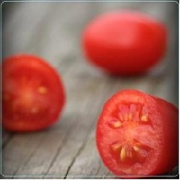 Τιμές βιομηχανικής ντομάτας Α.Σ&nbsp;ΘΕΣΤΟ