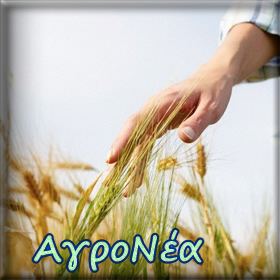 ΑγροΝέα 4, 5, 6, 7, 8,&nbsp;9