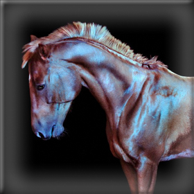 Νέοι κανόνες για τη διατροφική ασφάλεια στην&nbsp;Ευρώπη