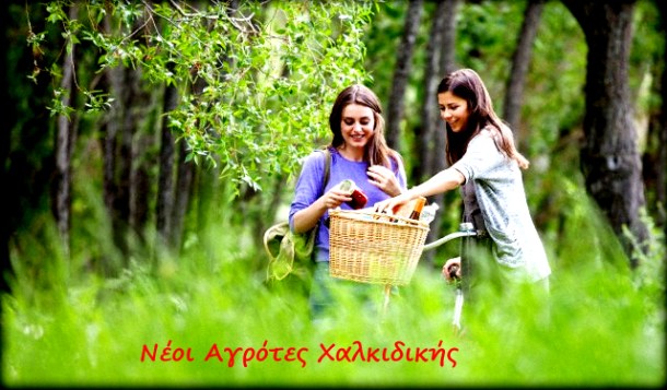 χαλικιδικισ