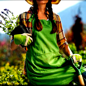 Eνημερωτική εκδήλωση για την Λαχανοκομία στη&nbsp;Δράμα