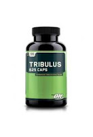 Τριβόλι (Tribulus terrestis): το βότανο της&nbsp;τεστοστερόνης