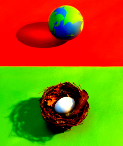 Ημερίδα για την οικιακή&nbsp;Κομποστοποίηση