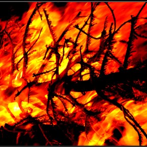 Ημερίδα για την καύση των&nbsp;καλαμιών