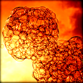 Αντιμετώπιση του τετράνυχου με βιολογικό&nbsp;τρόπο