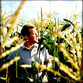 Καταγγελίες για Καρτέλ στο&nbsp;Καλαμπόκι