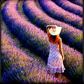 Σεμινάρια βραχείας  εκπαίδευσης απο την Γενική Γραμματεία Νέας&nbsp;Γενιάς