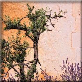 Hμερίδα για την Ελαικομία στην&nbsp;Άρτα