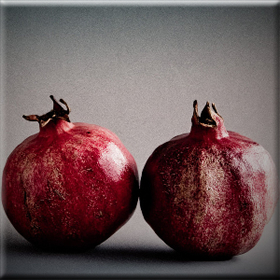 Ημερίδα για την Ροδιά στην&nbsp;Κοζάνη