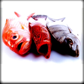 Έτος γαστρονομίας στην&nbsp;Σαντορίνη