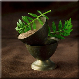 Αγροτική Ανάπτυξη και αυτοφυής&nbsp;χλωρίδα