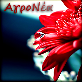 ΑγροΝέα 42, 43