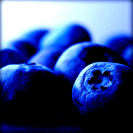 Μύρτιλο ευφραίνει καρδίαν