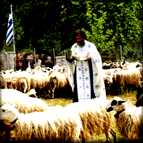 Χανιά: Αναβίωσε το έθιμο της ευλογίας των&nbsp;προβάτων