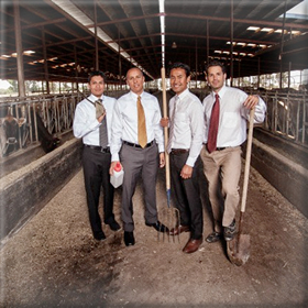 Aκατάλληλες Ζωοτροφές κατασχέθηκαν στον&nbsp;Πειραιά