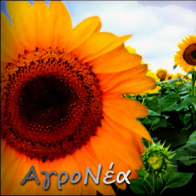 ΑγροΝέα 46, 47