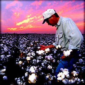 Αγρότες δήλωναν παραγωγές –&nbsp;μαϊμού