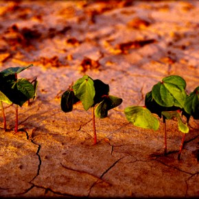 Προειδοποιήσεις στο Βαμβάκι