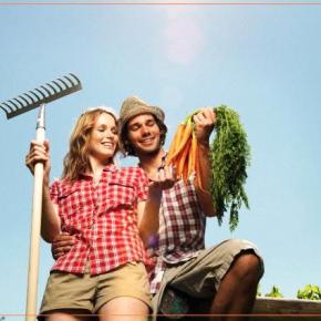 Σήμερα: Ημερίδα προγράμματος Νέων Αγροτών στην&nbsp;Κρήτη