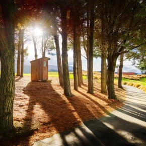 Αποχαρακτήρισαν 55 εκατομμύρια στρέμματα&nbsp;δάσους