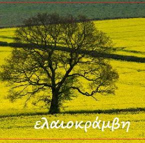 Ημερίδα για την&nbsp;Ελαιοκράμβη