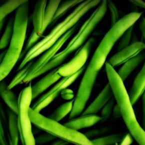 Ημερίδα για τα&nbsp;Ψυχανθή