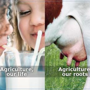 Βίντεο ημερίδας με θέμα την Νέα&nbsp;Κ.Α.Π.