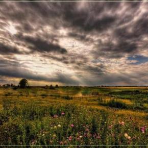 Ζητούν άμεσα ελέγχους από τον&nbsp;ΟΠΕΚΕΠΕ
