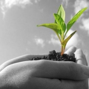 Η ΠΟΛΥΚΑΛΛΙΕΡΓΕΙΑ ως παράγοντας διασφάλισης του γεωργικού&nbsp;εισοδήματος