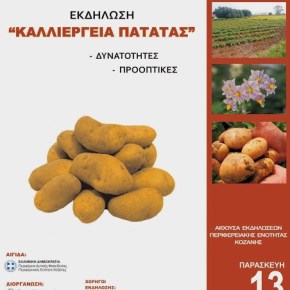 Ημερίδα για την καλλιέργεια της&nbsp;πατάτας