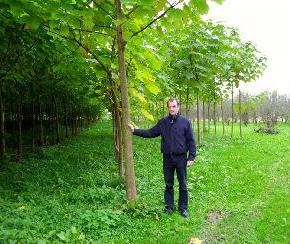 Ημερίδα για την Παυλώνια στην&nbsp;Δράμα