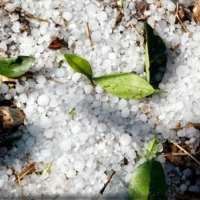 Πιερία: ξεκίνησε η εκτίμηση των&nbsp;ζημιών