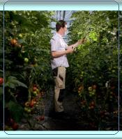 Σεμινάριο για τις Υδροπονικές&nbsp;Καλλιέργειες