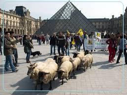 Εισβολή προβάτων στον&nbsp;Λούβρο