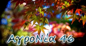 αγρονεα 46