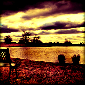 Νεκρά ψάρια κάλυψαν παραλία της&nbsp;Σάμου