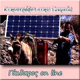 Γιατί οι Τούρκοι αγρότες φόρτωσαν φωτοβολταϊκά… στα&nbsp;γαϊδούρια;