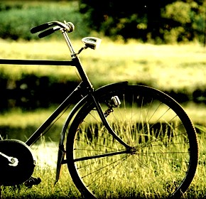 Ζωή σαν ποδήλατο