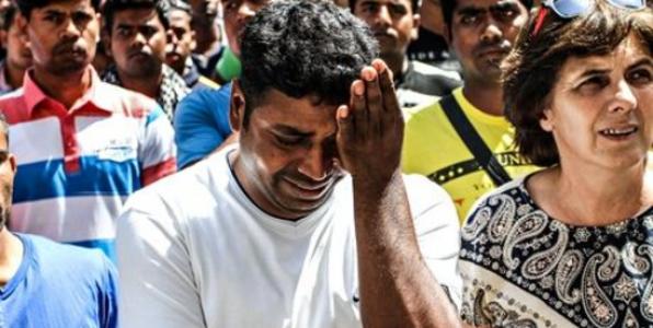 strawberry-picker-in-tear-0111406795386