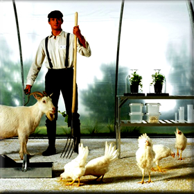 Τα προβλήματα των Νέων&nbsp;Αγροτών